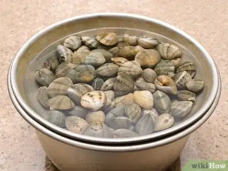Image titled Shuck Clams Step 3