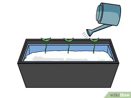 Image titled Grow Hydroponic Strawberries Step 18