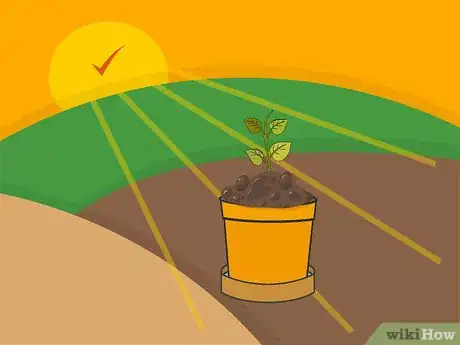 Image titled Plant Bulbs in Pots Step 13