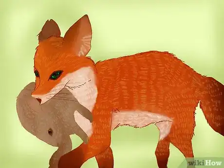 Image titled Groom a Pet Fox Step 9