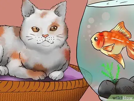 Image titled Take Care of Your Aging Cat Step 16