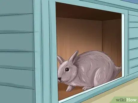 Image titled Keep Your Pets Safe in Winter Step 23