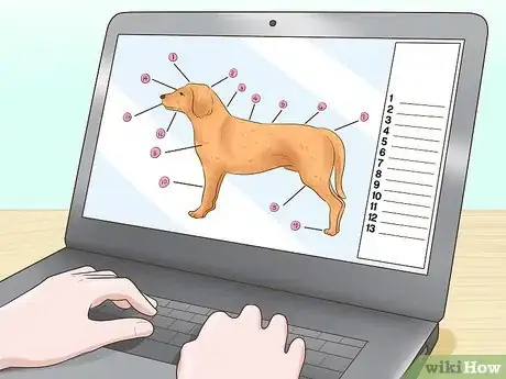 Image titled Become a Dog Show Judge Step 8