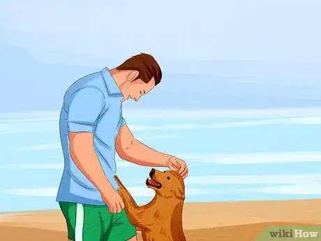 Image titled Take Your Dog to the Beach Step 2