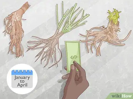 Image titled Plant Roots Step 1