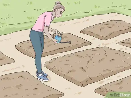 Image titled Grow a Sustainable Garden Step 5