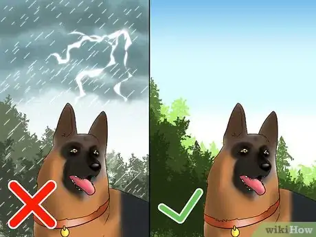 Image titled Walk a Dog in the Woods Step 5