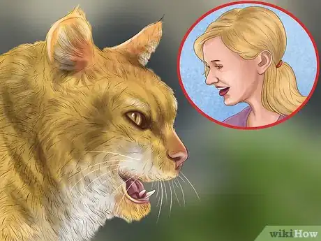 Image titled Understand Your Cat's Behavior Step 1