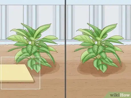 Image titled Does Vinegar Work for Slug Control Step 10