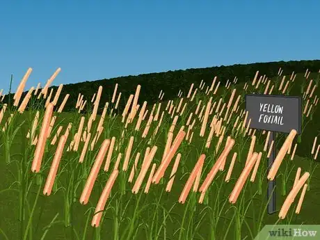 Image titled Choose Ground Cover Plants Step 01