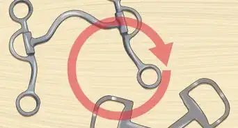 Bridle a Grumpy Horse