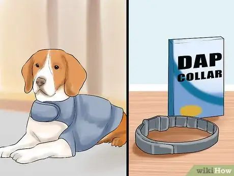 Image titled Groom a Hyper Dog Step 5