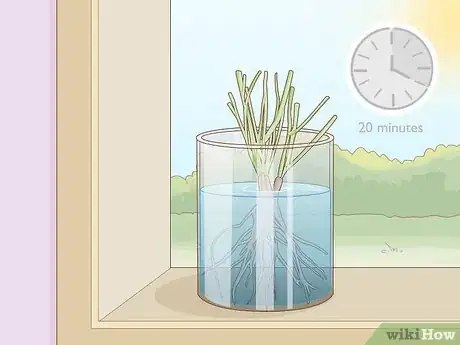 Image titled Plant Roots Step 3