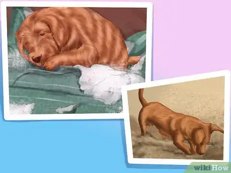 Image titled Give Your Large Dog Enough Exercise Step 3