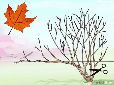 Image titled Prune Vines Step 2