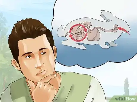 Image titled Choose Rabbit Food Step 9