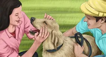 Approach an Unfamiliar Dog