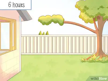 Image titled Grow Horehound Step 1