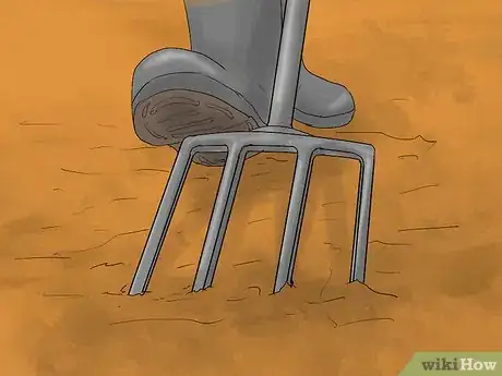 Image titled Grow Cannas Step 5