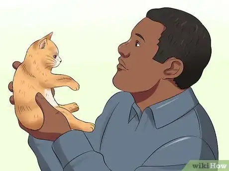 Image titled Socialise Timid Kittens Step 11