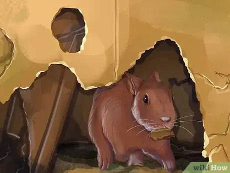 Image titled Choose Toys for Your Rabbit Step 9
