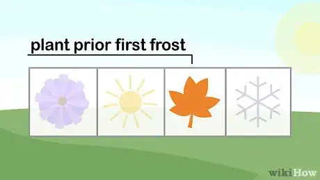 Image titled Plant Spring Bulbs Step 4