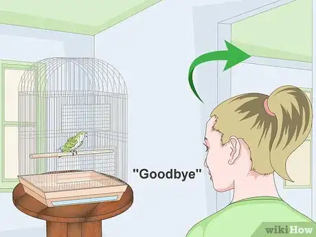Image titled Teach a Quaker Parrot to Speak Step 2