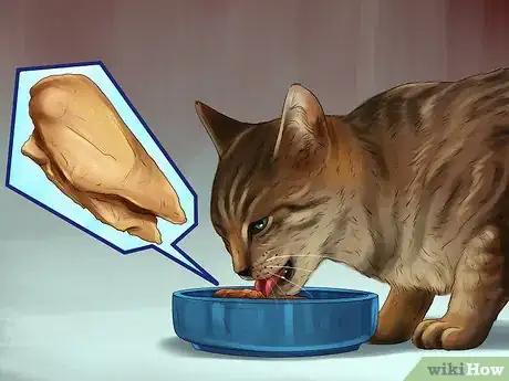 Image titled Treat Diarrhea and Constipation in Dogs and Cats Step 3