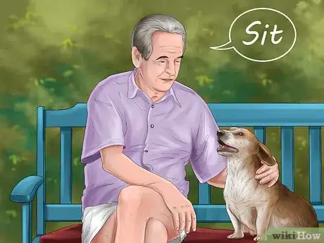 Image titled Keep Your Dog and Other Dogs Safe at the Vet Step 10