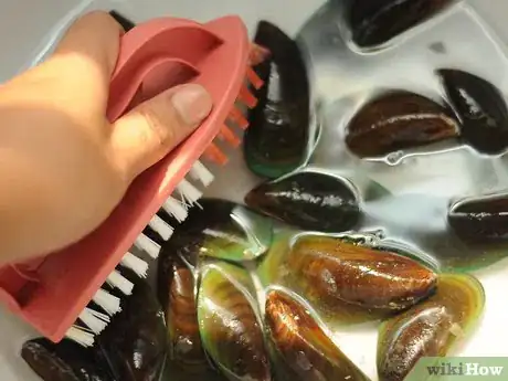 Image titled Buy and Clean Mussels Step 6