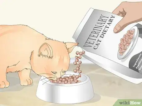 Image titled Keep Your Cat Clean Step 13