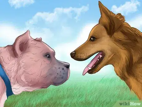 Image titled Make Your Dog Get Along With Other Dogs Step 14