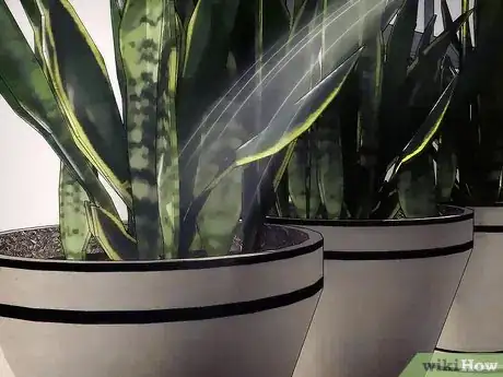 Image titled Overwinter Tropical Plants Step 5