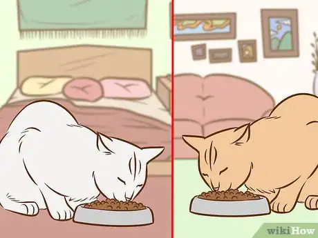 Image titled Referee Two Irritable Cats That Don't Get Along Step 7