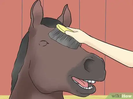 Image titled Care for an Arabian Horse Step 12