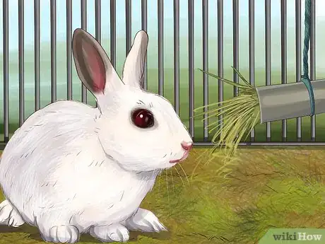 Image titled Choose Toys for Your Rabbit Step 8