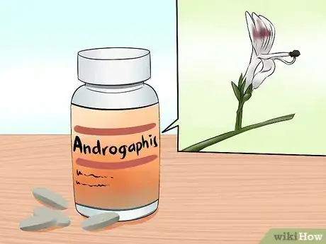 Image titled Use Supplements to Treat the Flu Step 3