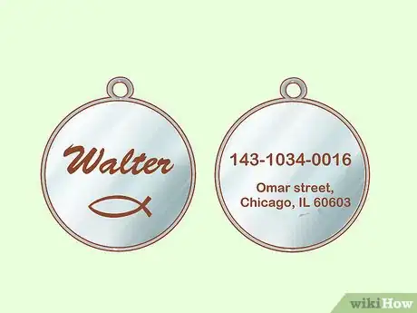 Image titled Be Responsible when You Have a Cat Step 15