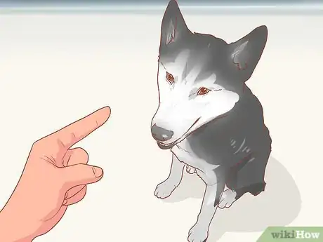 Image titled Train a Rescue Dog Step 6