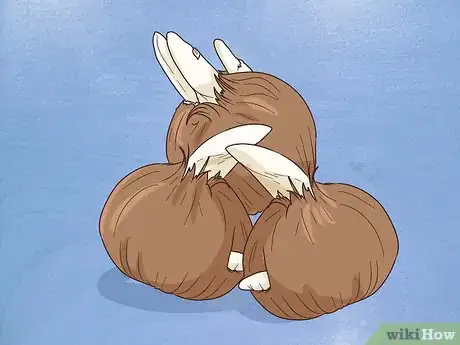 Image titled Grow Crocus Step 2