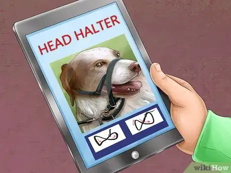 Image titled Know if a Head Halter Is Right for Your Dog Step 7