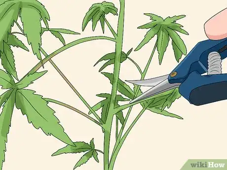 Image titled Fix Common Indoor Herb Garden Problems Step 10