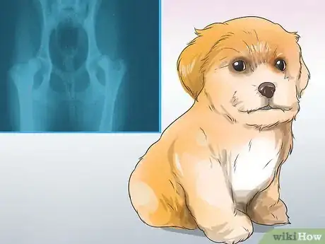 Image titled Care for Shihpoos Step 12