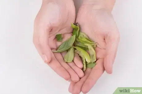 Image titled Care for Hair Loss With Herbal Hair Tonic Step 1