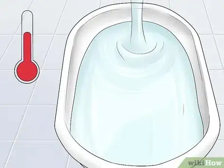 Image titled Keep Your Ferret's Hair Healthy Step 6