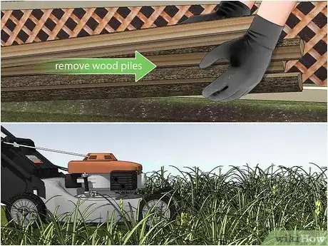 Image titled Keep False Widow Spiders Out of Your House Step 1