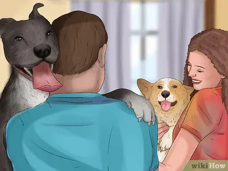 Image titled Rescue a Corgi Step 12