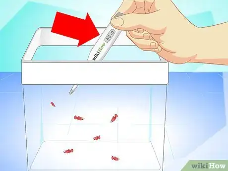 Image titled Breed Wild Bettas Step 13