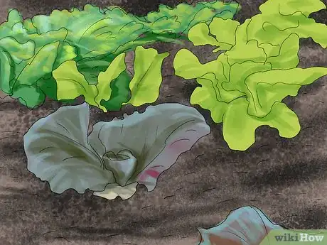 Image titled Germinate Seeds with Humidity Step 3