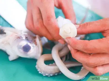 Image titled Cook Squid Step 4